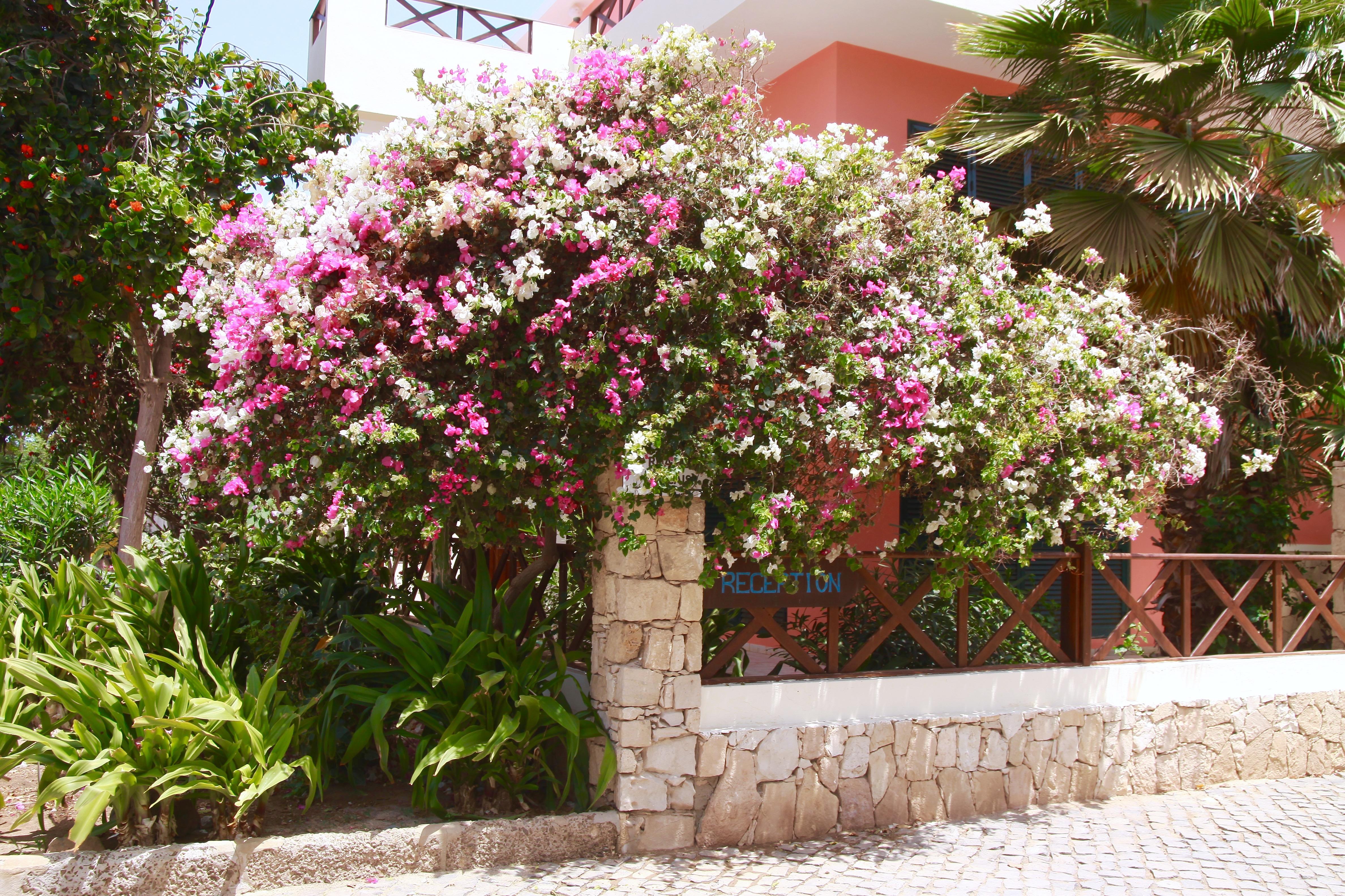 Aparthotel Ponta Preta Santa Maria Exterior photo